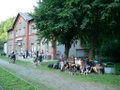 p1040109.jpg