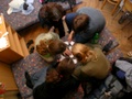 dscn8842.jpg