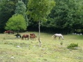 imga0113.jpg
