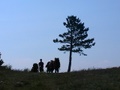 imga0170.jpg