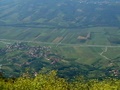 imga0178.jpg
