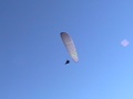 imga0193.jpg