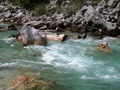 imga0239.jpg