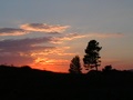 imga0258.jpg