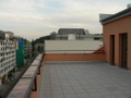 p1090710.jpg