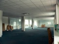 p1090810.jpg