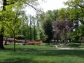 p1010765.jpg